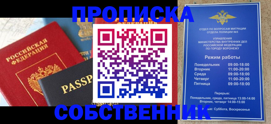 прописка гарантия в Кировске